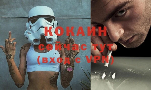 шишки Сосновоборск