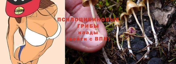 прущая мука Белоозёрский